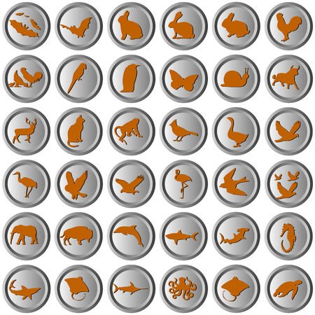round metallic buttons with shadowed orange animal symbolsのイラスト素材