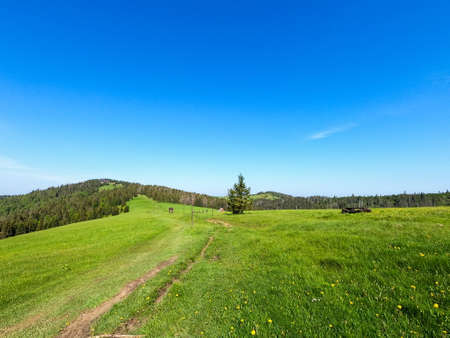 View of Beskidy mountains in Poland taken in sunny spring. Mountain landscape captured during trekking.の写真素材