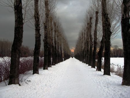 Winter alleyの写真素材