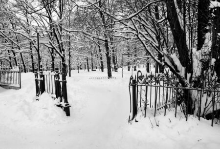 Old entrance into Historic park  royal family residence , Petersburg, Gatchinaの写真素材