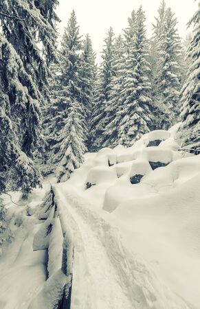 50 shades of whiteの写真素材