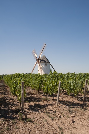 Windmill standing in a vineyard at Rosnay in the Vendee region of Franceの写真素材
