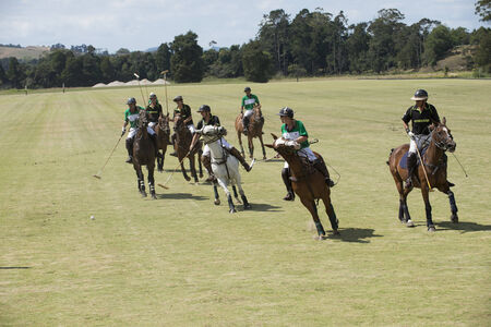 Polo game at Clevedon North Island New Zealandのeditorial素材