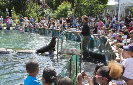Sea Lions entertain visitors at Central Park Zoo Manhattan New York USAのeditorial素材