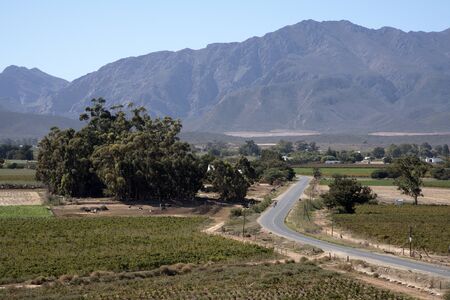 NUY VALLEY WORCESTER WESTERN CAPE SOUTH AFRICA - APRIL 2016 - Road taking a scenic route passing vineyards and farms of the Nuy Valley near Worcester in the Western Cape Southern Africaのeditorial素材