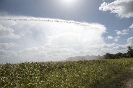 Agricultural rain gun watering  maize growing on a farm in Franceの写真素材