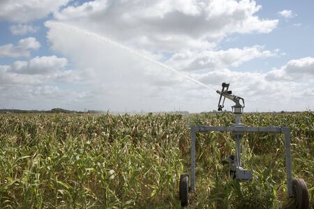 Agricultural rain gun watering  maize growing on a farm in Franceの写真素材