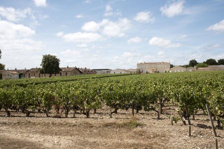 Saint Julien Bordeaux France - August 2016 - Chateau Branaire Ducru and vines in Saint Julien situated along the wine route of the Medoc in the Bordeaux region of Franceのeditorial素材