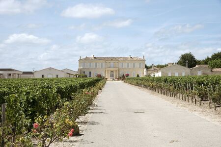 Saint Julien Bordeaux France - August 2016 - Chateau Branaire Ducru and vines in Saint Julien situated along the wine route of the Medoc in the Bordeaux region of Franceのeditorial素材
