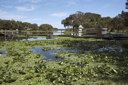 Hontoon Island State Park Florida USA - October 2016 - A view from the park along St Johns Riverのeditorial素材