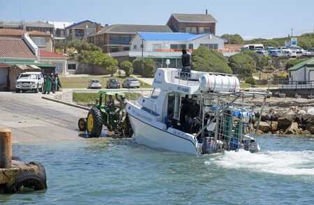 Great White shark dive boat at Kleinbaai Harbour in Gansbaai in the Western Cape South Africa. Dive boat on a trailer being towed onshore with a tractorのeditorial素材