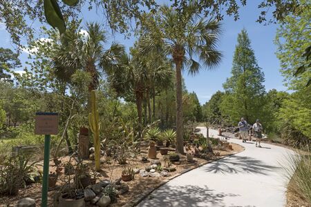 The cactus and succulent garden at the Florida Botanical Garden in Largo Florida USA. April 2017のeditorial素材