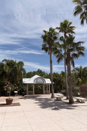 The Palm Garden at Florida Botanical Garden in Largo Florida USA. April 2017のeditorial素材