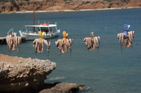 Octopus hanging out to dry. Crete, Greece.