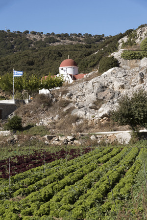 Lasithi plateau, Lasithi, Crete, Greece, October 2017.  A church and lettuces growing in rows on this fertile area.のeditorial素材