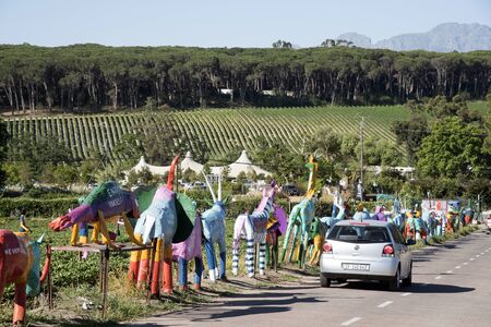 Stellenbosch to Somerset West road in the Western Cape South Africa. December 2017. Scarcrows on a strawberry farmのeditorial素材