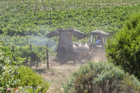 The Waterkloof Wine Estate in Somerset West, Western Cape, South Africa. Tractor at work spraying the vines during summer.のeditorial素材