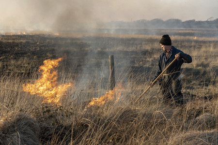 Bursdon Moor, Hartland,North Devon, England, UK. February 2019. Man using a rubber fire beater tool at the annual  burning of gorse and scrubのeditorial素材