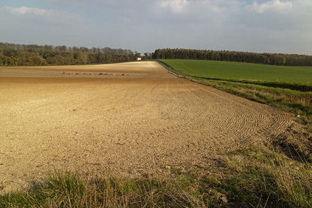 Micheldever, Winchester, Hampshire, England, UK. March 2019. Agricultural land having been seeded. Chalk hillside showing at top.のeditorial素材