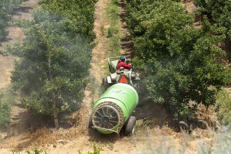 Elgin, Western Cape, South Africa, December 2019. Spraying apple trees in the fruit producing area close to Elgin ajoining the Theewaterskloof Dam, Western Capeのeditorial素材
