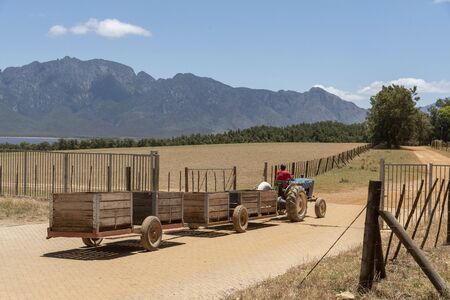 Villiersdorp, Western Cape, South Africa. Dec 2019. Tractor pulling two trailers used for fruit storage in the Overberg region of South Africaのeditorial素材
