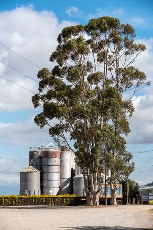 Riebeek West, South Africa. Dec2019.  Grain silos used for storing wheat in the Swartland region of South Africaのeditorial素材