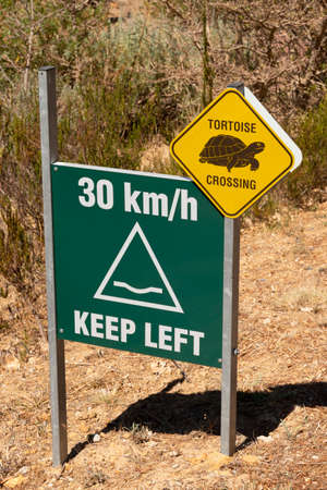 Western Cape, South Africa. 2022. Tortoise crossing road sign with 30 KM speed green sign. Western Cape, South Africa.の写真素材