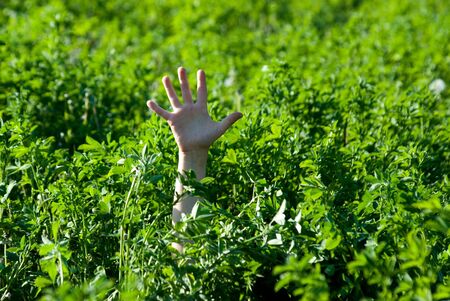 The hand stretched from a grass upwards