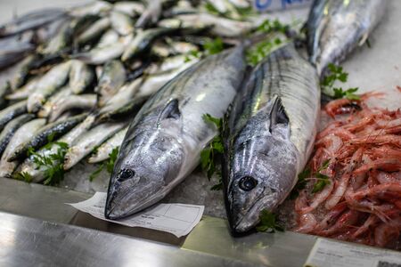 Fresh fish at a fish market in Valencia, Spain