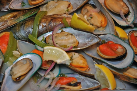 Background of green-lipped mussels ready to serve