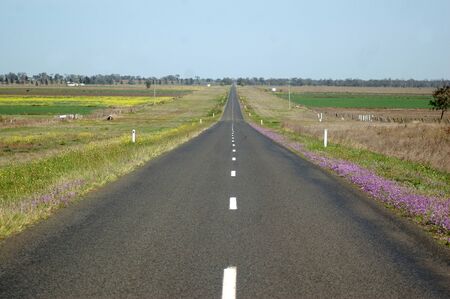 Long stretch of straight road with purple clover alongside, Darling Downs, Queensland, Australia
