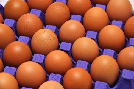 tray of chicken eggs on a seamless background