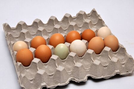 a dozen fresh farm eggs on a seamless background
