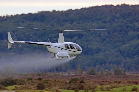 helicopter spraying fertiliser on a crop in Westland, New Zealand