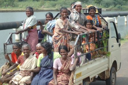 TAMIL NADU, INDIA, circa 2009: Unidentified women heading out in an overloaded vehicle to work in the rice paddies circa 2009 in Tamil Nadu, Indiaのeditorial素材