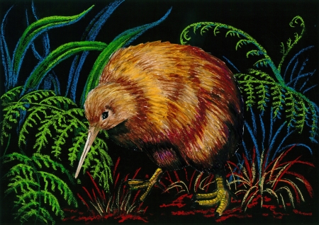 Crayon rendering on black background of a New Zealand brown kiwiの写真素材