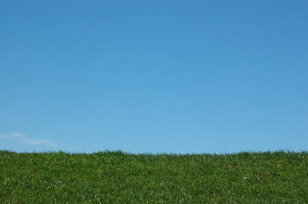 Summer time photo of grass and sky on a West Coast farm, South Island, New Zealandの写真素材