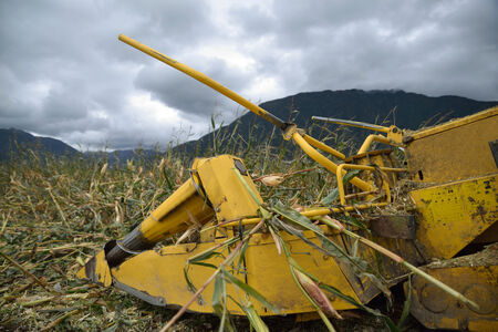 Detail of cutters on combine harvester as farmers harvest a crop of maize for silage on a dairy farm...
