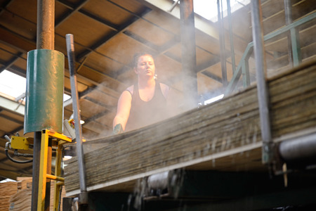 GREYMOUTH, NEW ZEALAND, MAY 22, 2015 : worker stacks freshly made  untrimmed sheets of plywood on May 22, 2015, near Greymouth, New Zealandのeditorial素材