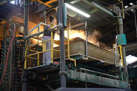 GREYMOUTH, NEW ZEALAND, MAY 22, 2015 : worker stacks freshly made  untrimmed sheets of plywood on May 22, 2015, near Greymouth, New Zealandのeditorial素材