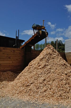 A conveyor carries pieces of woodchip to the pile at a small sawmillの写真素材