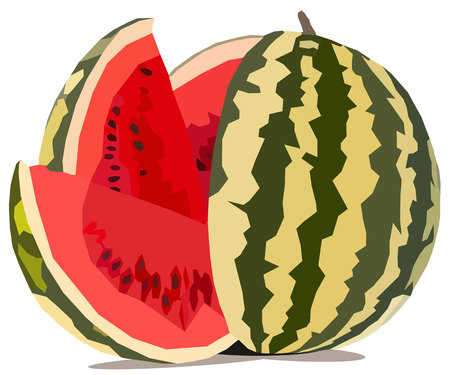 Just watermelonのイラスト素材