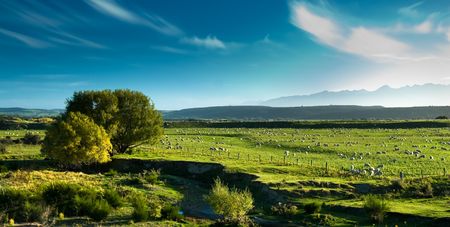Panoramic view of rural scenery, fiordland, new zealand.の写真素材