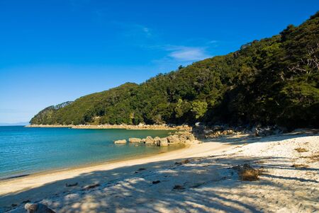 beach at abel tasman national park, south island, new zealandの写真素材