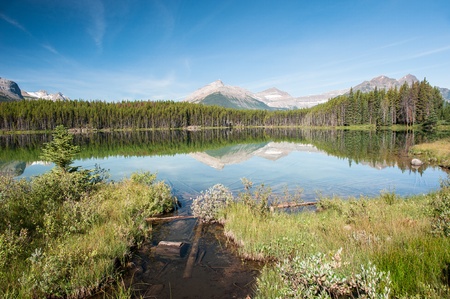 Herbert Lake panorama in Banff national park, Kanadaの写真素材