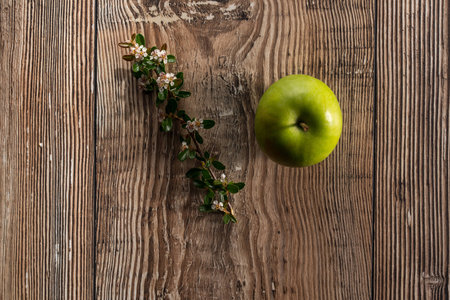 Apple on a tableの写真素材