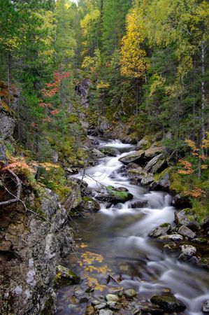 Waterfall in beautiful Autumn setting.Small waterfall surrounded autumn colors.Vertical view. 