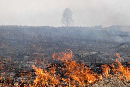 Big fire in the dry grass field. Ural, Russia.の写真素材