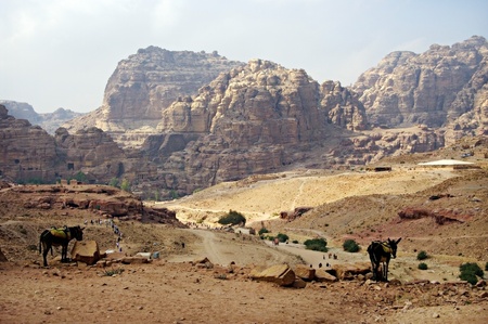 Panoramic  view of Petra, Jordan.の写真素材
