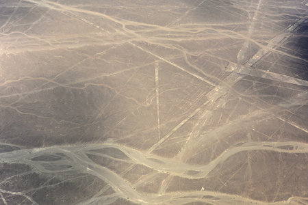 Aerial shot of the Parrot Nazca Line in Nazca, Peru. The lines were created by the Nazca People around 400AD and can only been seen from the air.の写真素材